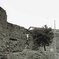 Tratto di mura lungo la Cassia, nei pressi del convento di S. Rosa, prima del restauro (foto archivio di stato di Viterbo)